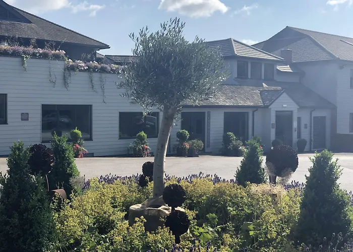 All Saints Resort